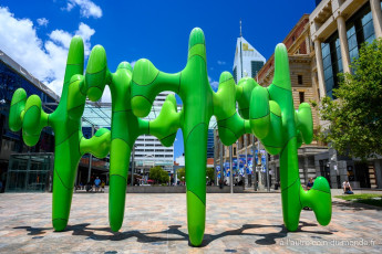 Perth - The cactus