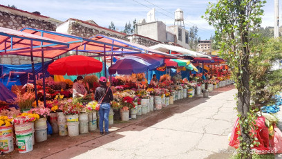 Marché aux fleurs devant le cimetière de Huaraz