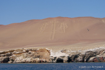 des lignes tracées dans le désert de Paracas