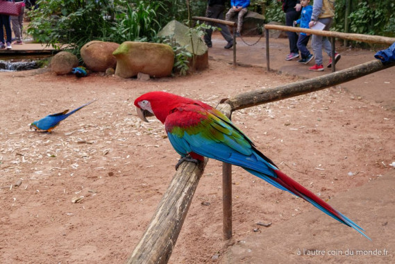 Le parc des oiseaux à Igaçu