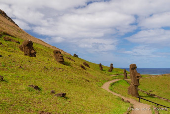 la carrière de Rano Raraku