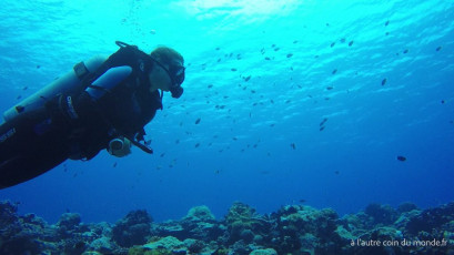 Plongée bouteille à la passe Nord de Fakarava