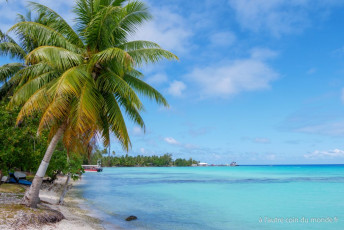 Polynésie Française - Rangiroa