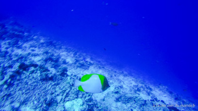 Polynésie Française - Rangiroa