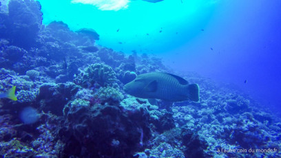 Polynésie Française - Rangiroa