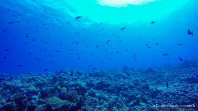 Polynésie Française - Rangiroa
