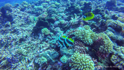 Polynésie Française - Rangiroa