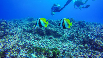 Polynésie Française - Rangiroa