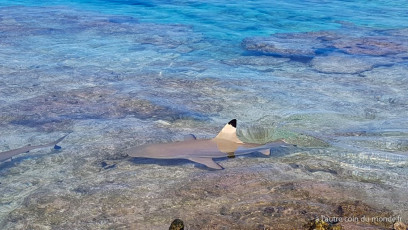 Polynésie Française - Rangiroa