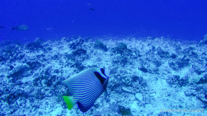 Polynésie Française - Rangiroa