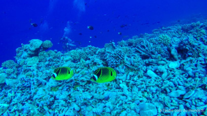Polynésie Française - Rangiroa
