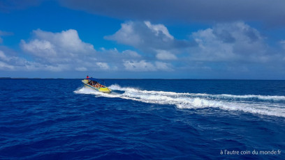 Excursion île aux récifs avec Léon
