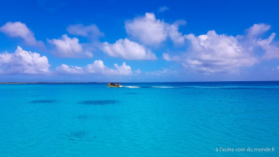 Excursion île aux récifs avec Léon