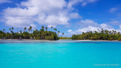 Excursion île aux récifs avec Léon