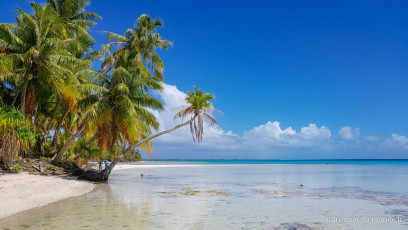 Excursion île aux récifs avec Léon