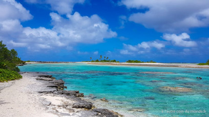 Excursion île aux récifs avec Léon