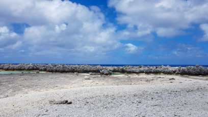 Excursion île aux récifs avec Léon