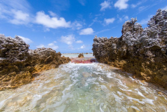 Excursion île aux récifs avec Léon