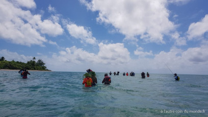 Excursion île aux récifs avec Léon