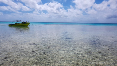 Excursion île aux récifs avec Léon