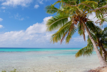 Excursion île aux récifs avec Léon