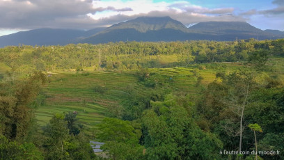Bali - vue depuis notre guest house