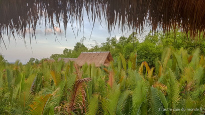 Notre logement : une cabane au dessus de la mangrove