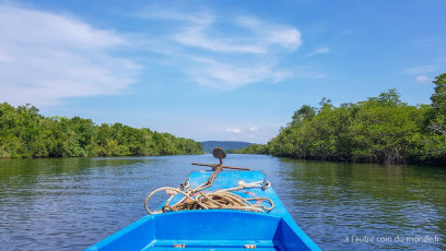 Deux jours de treks dans la jungle des Cardamones