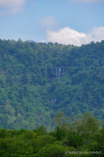 Deux jours de treks dans la jungle des Cardamones