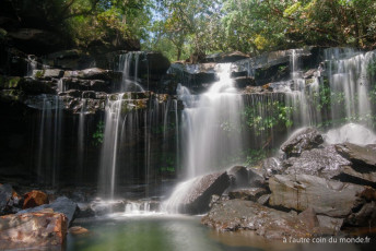 Deux jours de treks dans la jungle des Cardamones