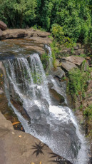 Deux jours de treks dans la jungle des Cardamones