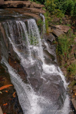 Deux jours de treks dans la jungle des Cardamones