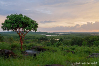 Deux jours de treks dans la jungle des Cardamones