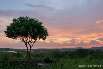 Deux jours de treks dans la jungle des Cardamones