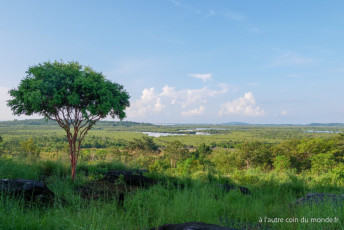 Deux jours de treks dans la jungle des Cardamones