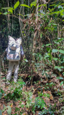 Deux jours de treks dans la jungle des Cardamones