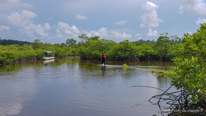 Deux jours de treks dans la jungle des Cardamones