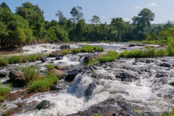 Cascade Tad Vang Yang
