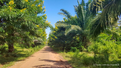 Pakse - le plateau des Bolovens