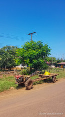 Pakse - le plateau des Bolovens