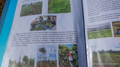 Pakse - le plateau des Bolovens
