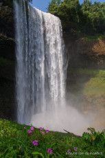 Pakse - le plateau des Bolovens