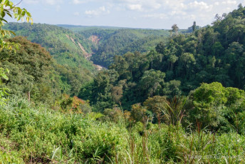 Pakse - le plateau des Bolovens