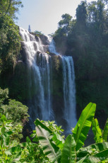 Pakse - le plateau des Bolovens