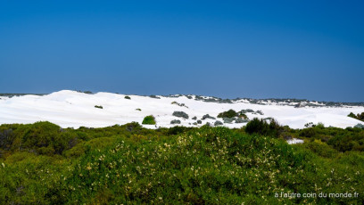 Les dunes de Lancelin, photos prise depuis la route entre perth et Cervantes