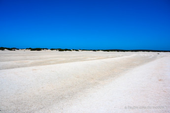 La plage de Shell beach - située sur la route de Monkey Mia et du Francois perron national park. La plage est constituée uniquement de coquillages