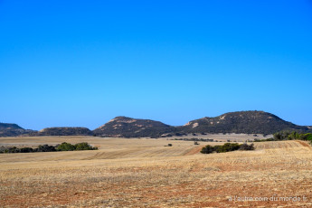 Elephant hill lookout pres de Geraldton