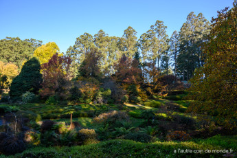 Dandenong botanic garden