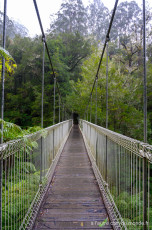 Corrigan suspension bridge