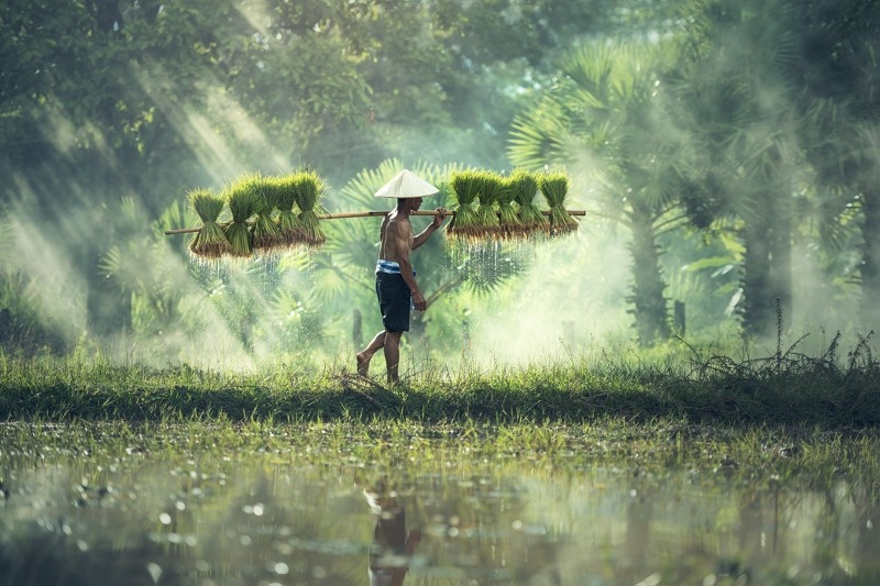 Laos – nos dates et itinéraire